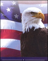eagle